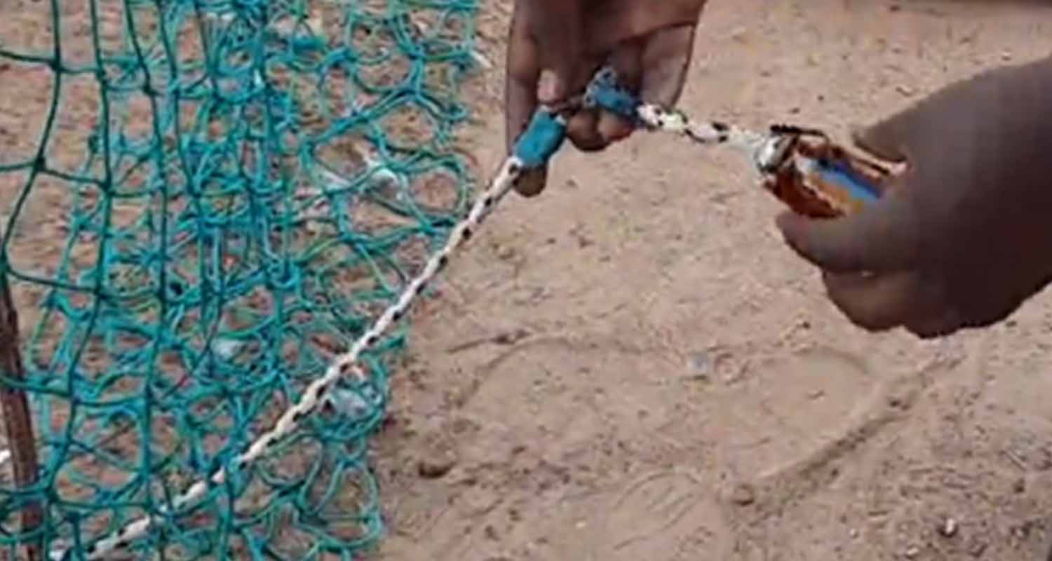 mage corde connectée, qui détecte toute tentative de rupture de la corde sur la patte de l'animal